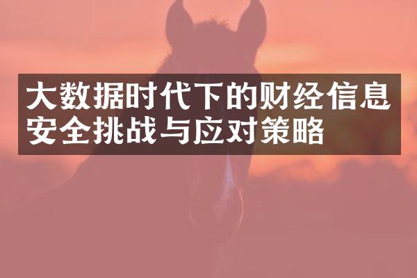 大数据时代下的财经信息安全挑战与应对策略