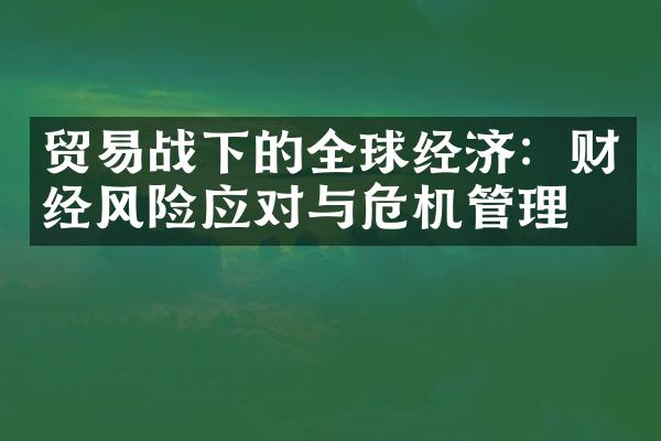 贸易战下的全球经济：财经风险应对与危机管理