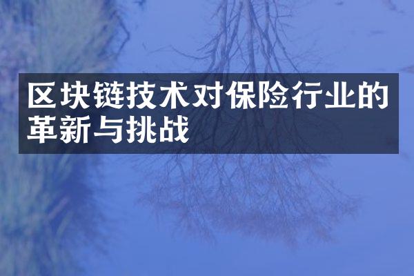 区块链技术对保险行业的革新与挑战