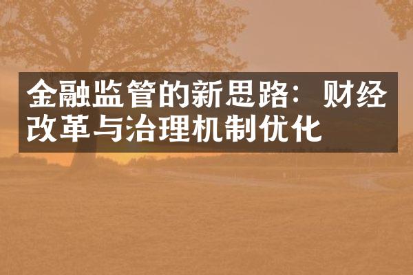 金融监管的新思路：财经改革与治理机制优化