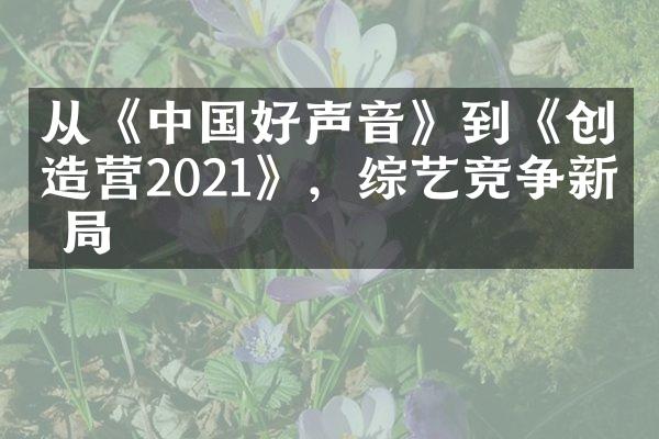 从《中国好声音》到《创造营2021》，综艺竞争新格局