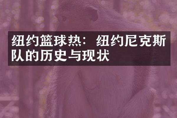 纽约篮球热：纽约尼克斯队的历史与现状