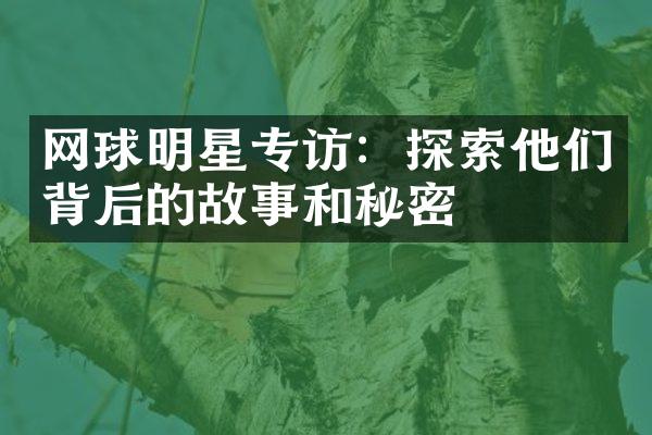 网球明星专访：探索他们背后的故事和秘密