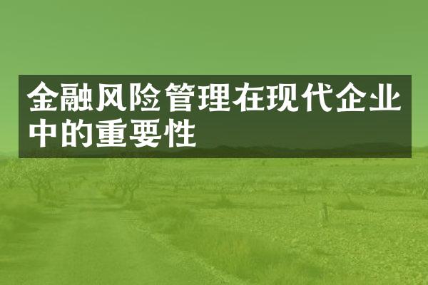 金融风险管理在现代企业中的重要性