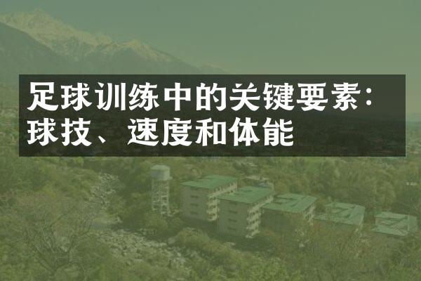 足球训练中的关键要素：球技、速度和体能