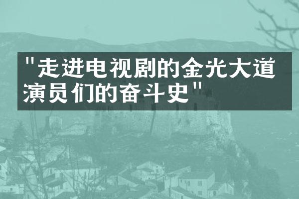 "走进电视剧的金光大道：演员们的奋斗史"