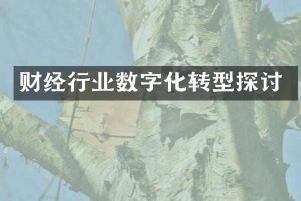 财经行业数字化转型探讨