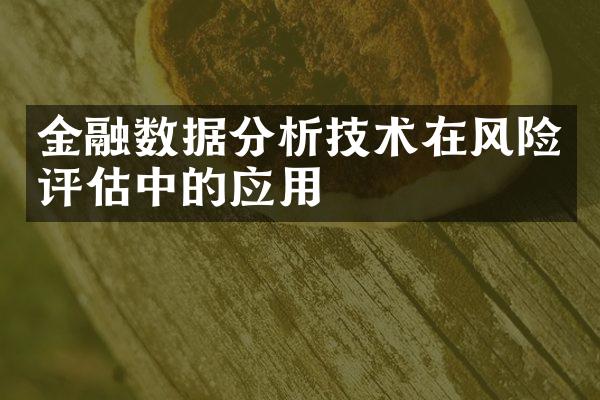 金融数据分析技术在风险评估中的应用