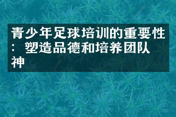 青少年足球培训的重要性：塑造品德和培养团队精神