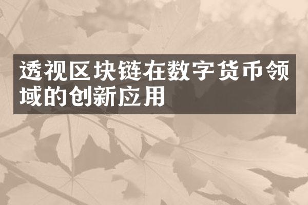 透视区块链在数字货币领域的创新应用