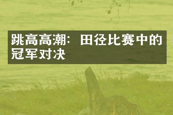 跳高高潮：田径比赛中的冠军对决