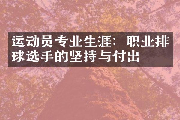 运动员专业生涯：职业排球选手的坚持与付出