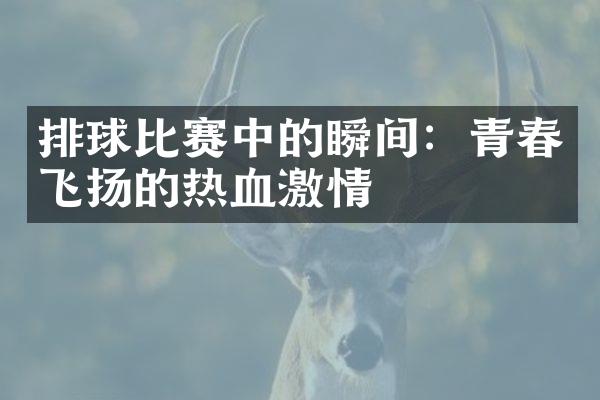 排球比赛中的瞬间：青春飞扬的热血激情