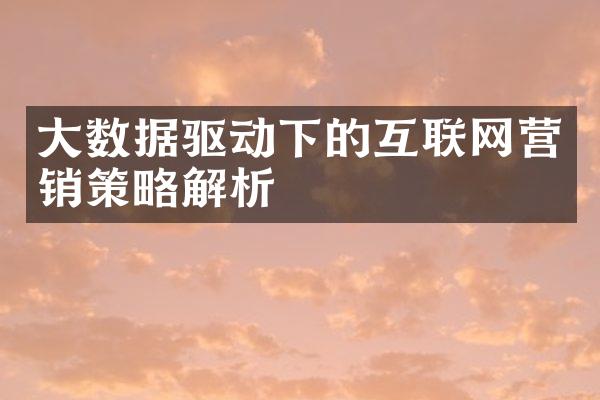 数据驱动下的互联网营销策略解析