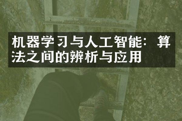 机器学习与人工智能：算法之间的辨析与应用