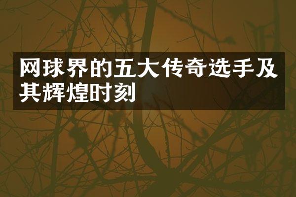 网球界的五大传奇选手及其辉煌时刻