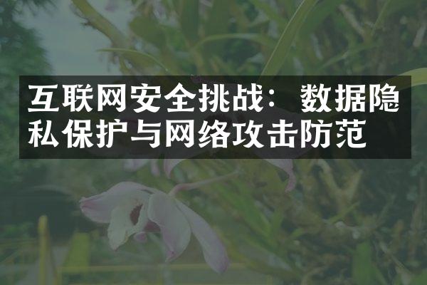 互联网安全挑战：数据隐私保护与网络攻击防范