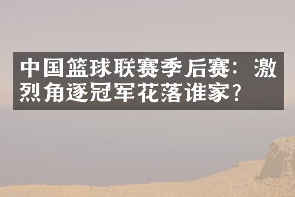 中国篮球联赛季后赛：激烈角逐冠军花落谁家？