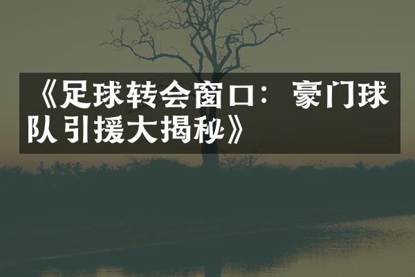 《足球转会窗口：豪门球队引援揭秘》