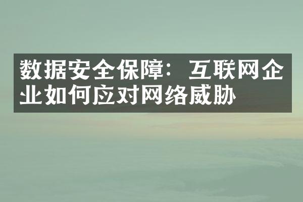 数据安全保障：互联网企业如何应对网络威胁