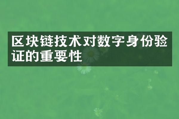 区块链技术对数字身份验证的重要性