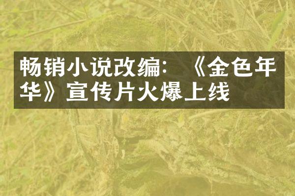 畅销小说改编：《金色年华》宣传片火爆上线