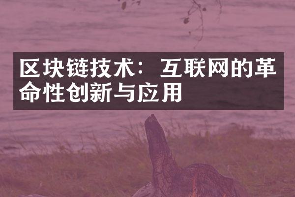 区块链技术：互联网的革命性创新与应用