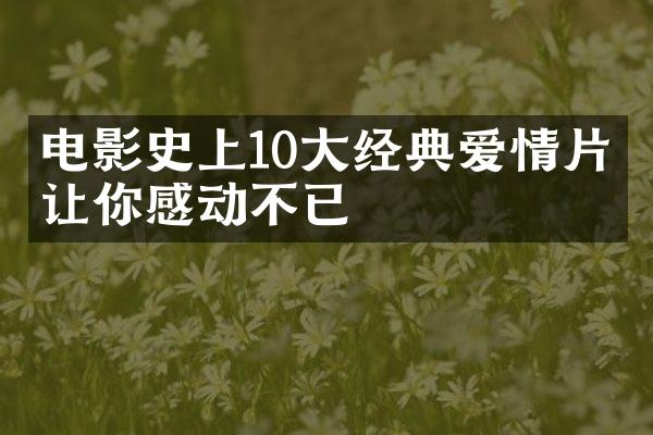 电影史上10大经典爱情片，让你感动不已