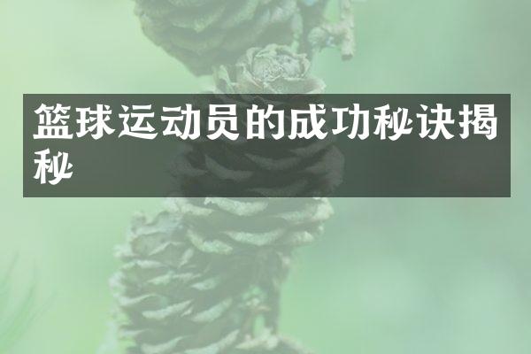 篮球运动员的成功秘诀揭秘