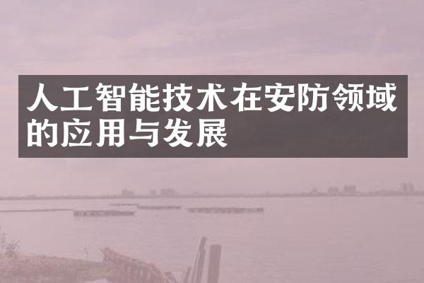 人工智能技术在安防领域的应用与发展