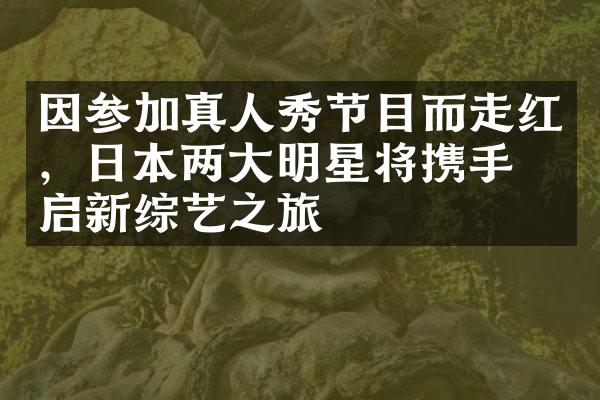 因参加真人秀节目而走红，日本两大明星将携手开启新综艺之旅