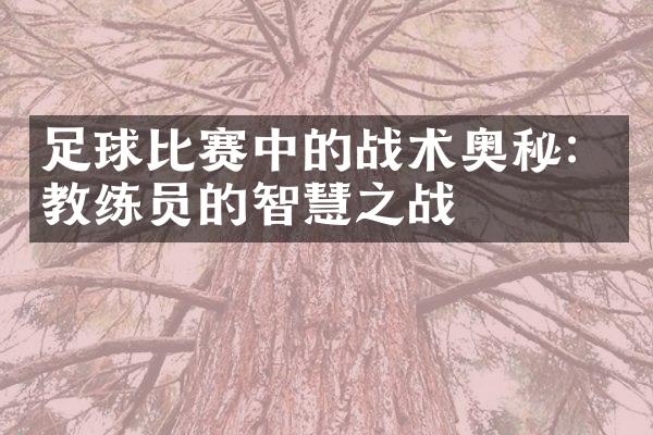 足球比赛中的战术奥秘：教练员的智慧之战