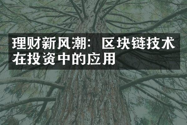 理财新风潮：区块链技术在投资中的应用