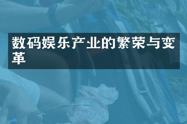 数码娱乐产业的繁荣与变革