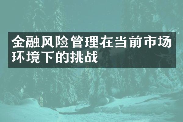 金融风险管理在当前市场环境下的挑战