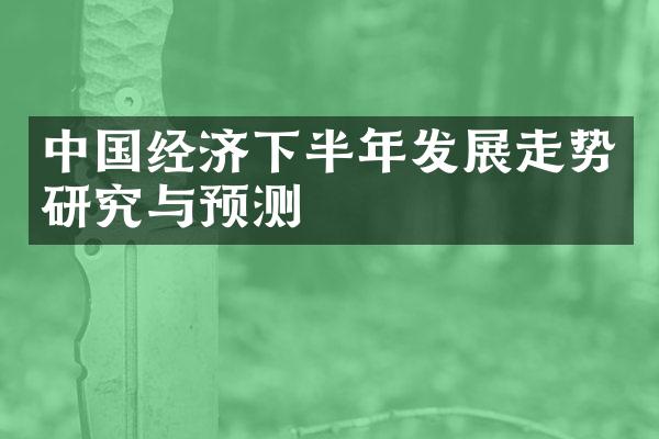 中国经济下半年发展走势研究与预测