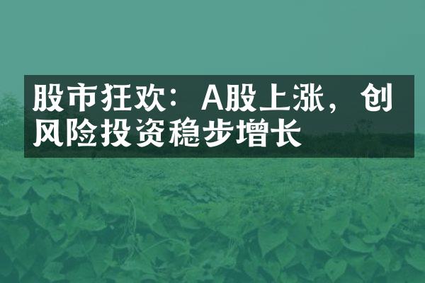 股市狂欢：A股上涨，创投风险投资稳步增长