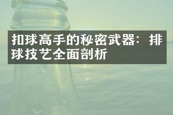 扣球高手的秘密武器：排球技艺全面剖析