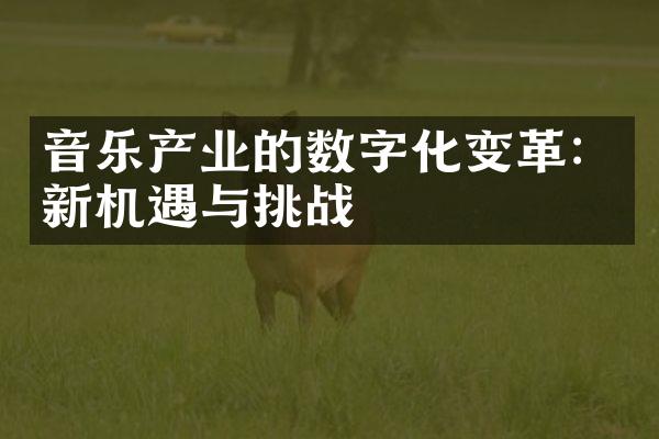 音乐产业的数字化变革：新机遇与挑战