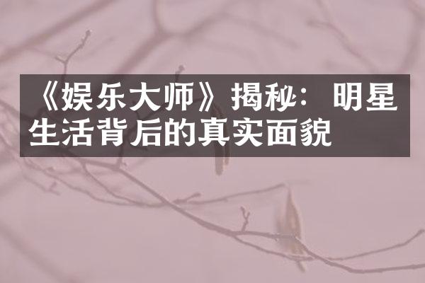 《娱乐大师》揭秘：明星生活背后的真实面貌