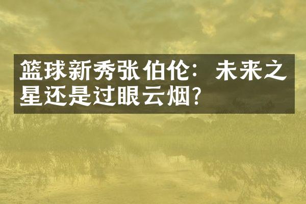 篮球新秀张伯伦：未来之星还是过眼云烟？