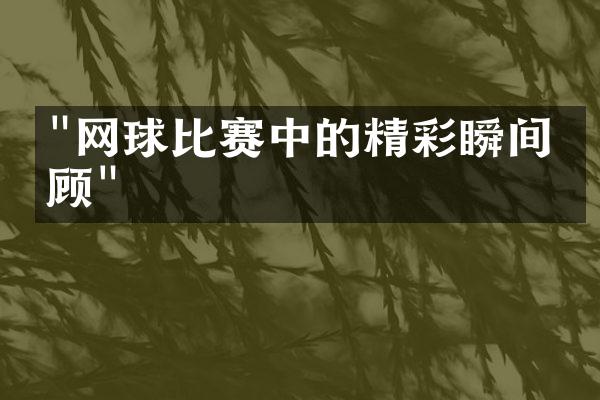 "网球比赛中的精彩瞬间回顾"