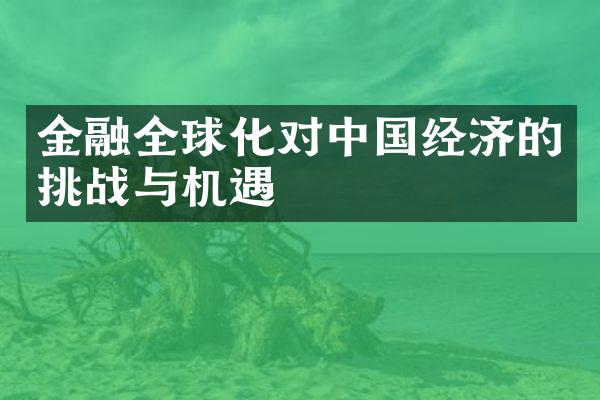 金融全球化对中国经济的挑战与机遇