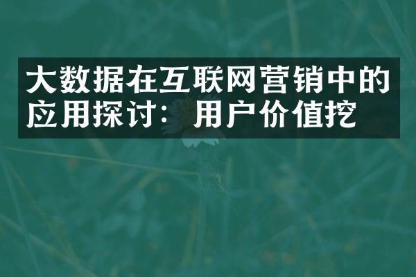 大数据在互联网营销中的应用探讨：用户价值挖掘