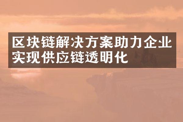 区块链解决方案助力企业实现供应链透明化