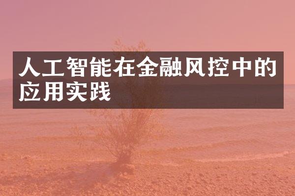 人工智能在金融风控中的应用实践