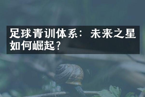 足球青训体系：未来之星如何崛起？