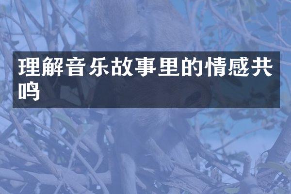 理解音乐故事里的情感共鸣