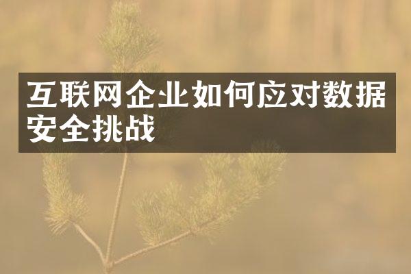 互联网企业如何应对数据安全挑战