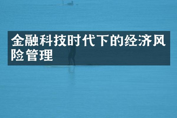 金融科技时代下的经济风险管理